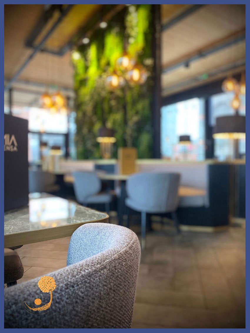 kumaş sandalye modelleri, modern sandalye fiyatları, restoran sandalyeleri